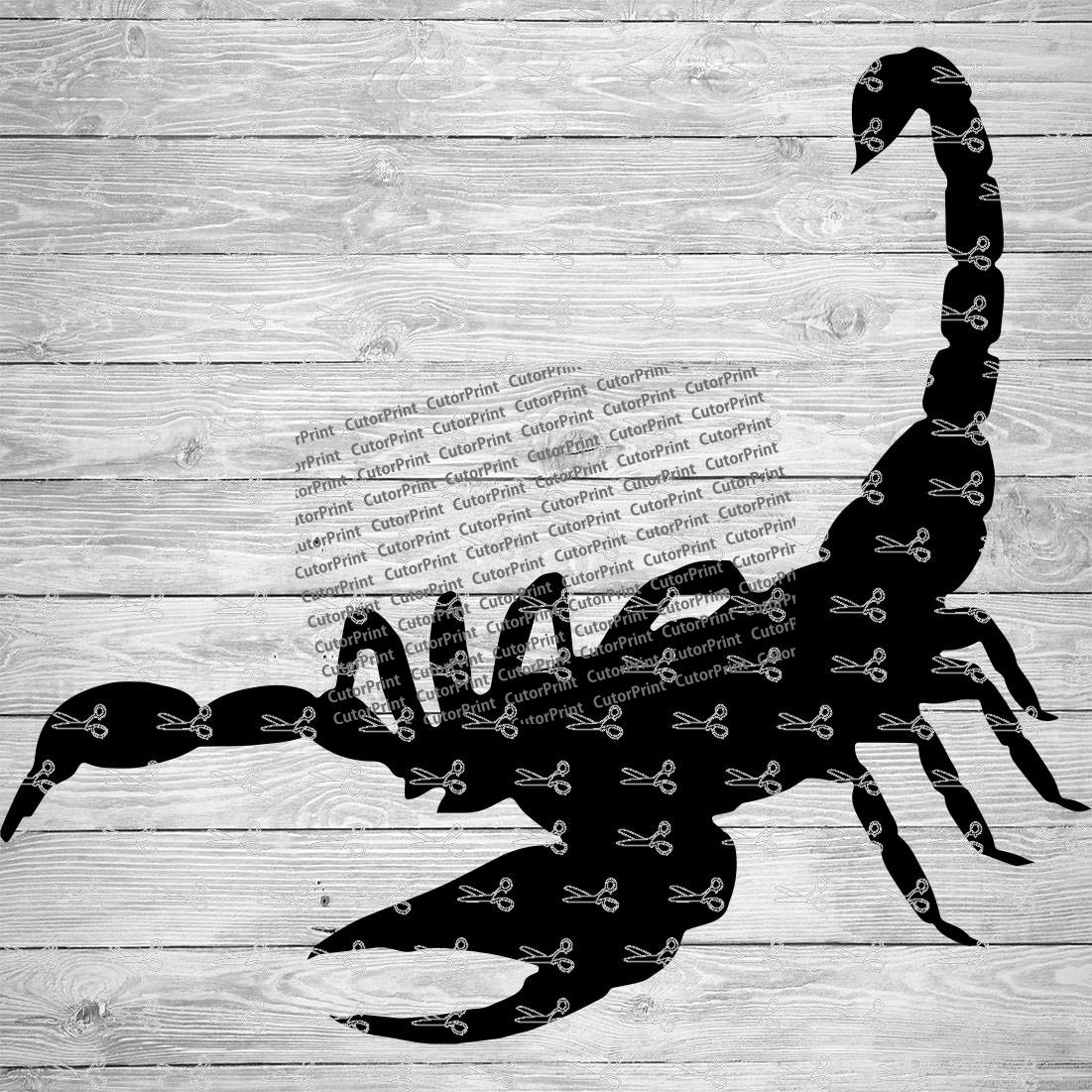 Scorpion SVG,EPS & PNG Files - Digital Download files for Cricut ...